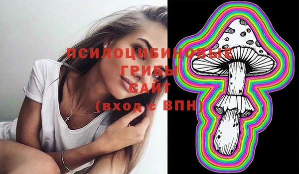 гидропоника Алзамай
