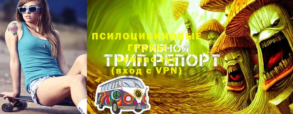 героин Алексин