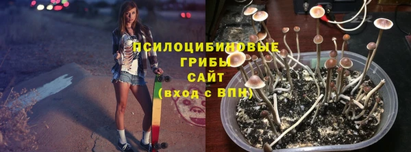 гидропоника Алзамай